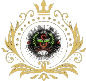 shalom logo
